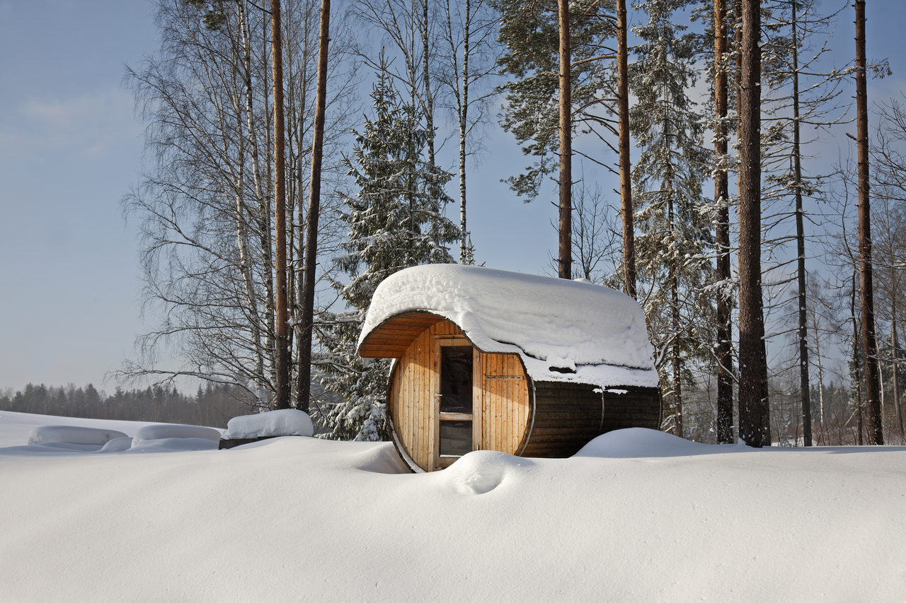 Luxurious wooden sauna cabin in forest setting